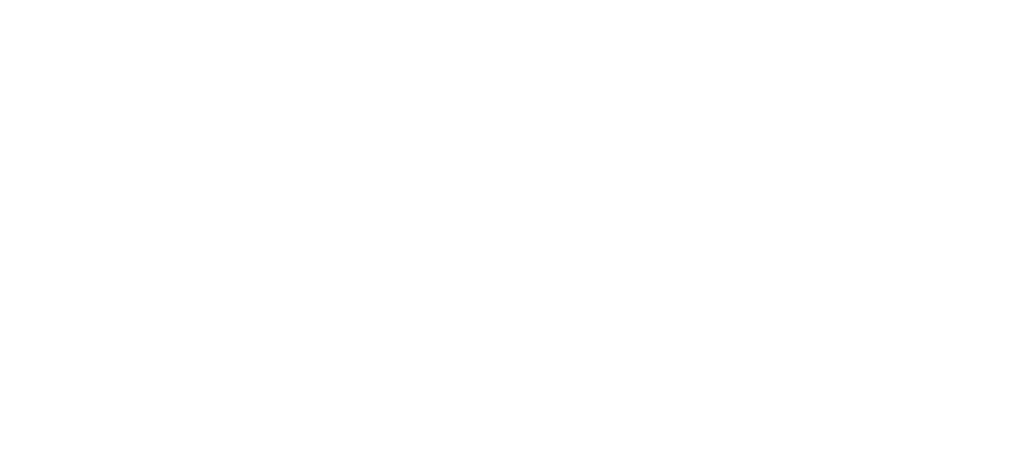 Logo Œnanim blanc