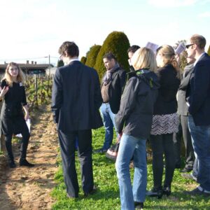 VIsite sensorielle et dégustation de vins par Œnanim à Bordeaux