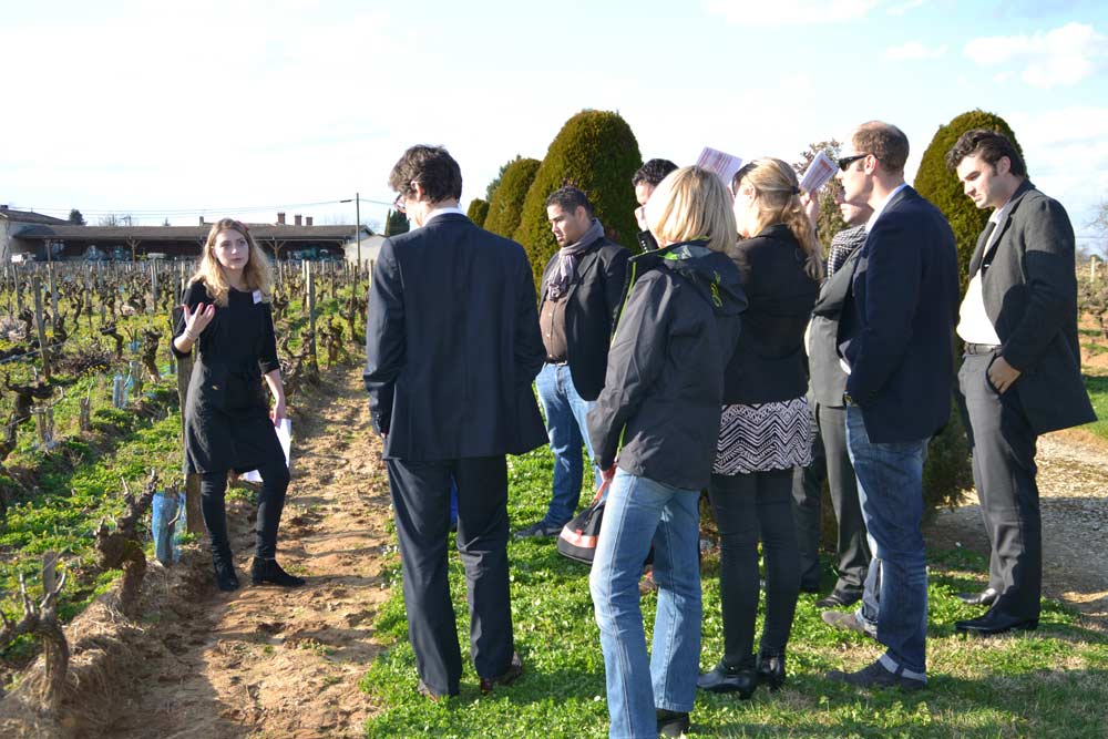 VIsite sensorielle et dégustation de vins par Œnanim à Bordeaux